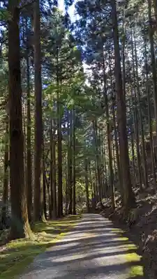 古知谷阿弥陀寺の周辺