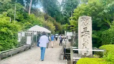 三室戸寺(京都府)
