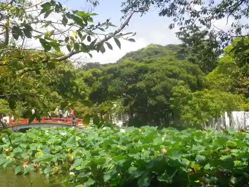 鶴岡八幡宮の自然