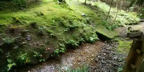 出雲大神宮の景色