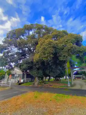 十二柱社(多気中町)の自然