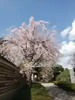 福蔵院(東京都)