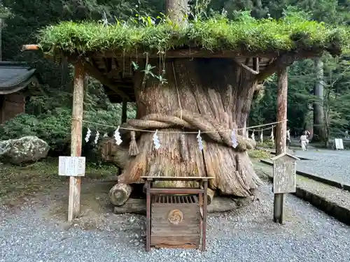 小國神社(静岡県)