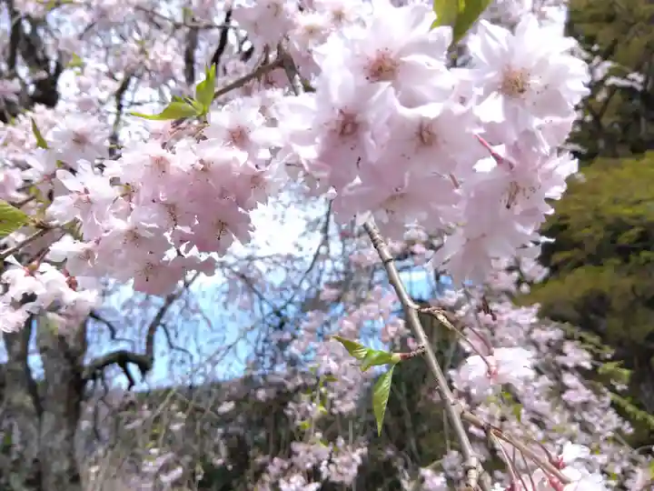 福徳寺(京都府)