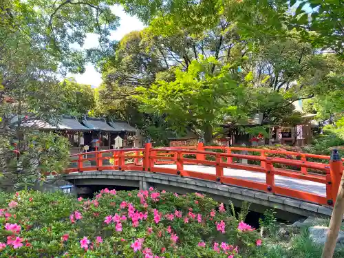 千葉神社のその他建物