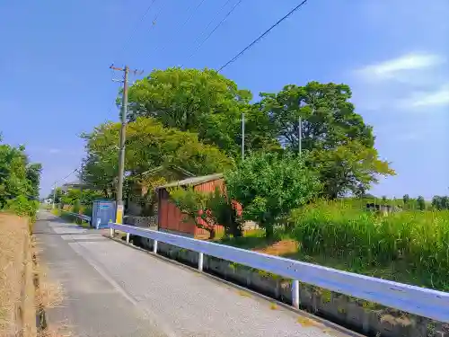 熱田社（西溝口）の自然