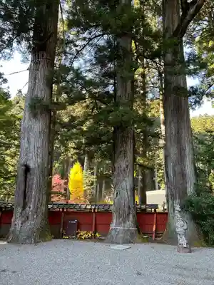 日光二荒山神社(栃木県)