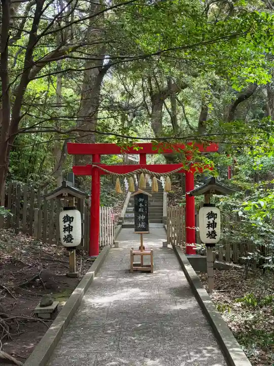 伊古奈比咩命神社の{uncategorized: "未分類", other: "その他", undefined: "問題あり", building: "その他建物", grave: "お墓", sacred_gate: "鳥居", guardian: "狛犬", statue: "像", buddha: "仏像", history: "歴史", nature: "自然", garden: "庭園", animal: "動物", pagoda: "塔", temizu: "手水舎", mountain_gate: "山門・神門", sanctuary: "本殿・本堂", subordinate: "末社・摂社", art: "芸術", scenery: "景色", jizo: "地蔵", ema: "絵馬", goshuin: "御朱印", omikuji: "おみくじ", items: "授与品その他", amulet: "お守り", goshuincho: "御朱印帳", eats: "食事", festival: "お祭り", votive_dance: "神楽", shichigosan: "七五三参", wedding: "結婚式", experience: "体験その他", initially: "初詣", around: "周辺", anti_infection: "感染症対策"}