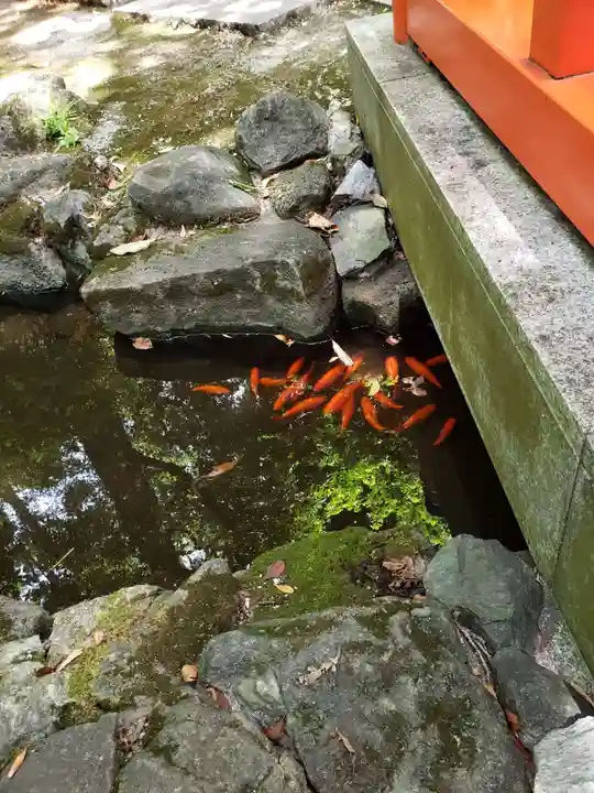 熊野神社(東京都)
