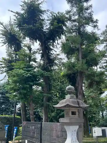 中野沼袋氷川神社(東京都)
