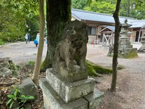 亀山神社の狛犬