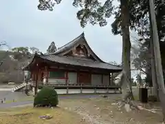 醍醐寺(京都府)