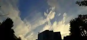 くまくま神社(導きの社 熊野町熊野神社)の景色(2020年12月09日(水) 20時03分33秒投稿)