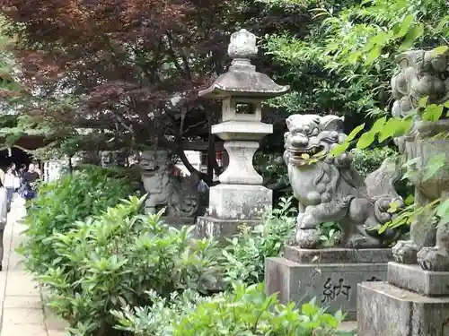 大宝八幡宮の狛犬