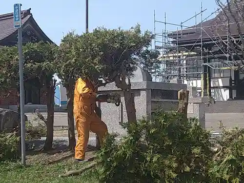 雨竜　専福寺の自然