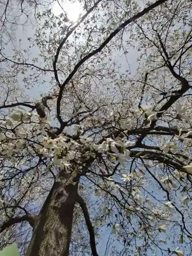 厚別神社(北海道)