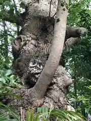 検見川神社の動物