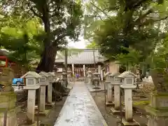 大宮・大原神社(千葉県)