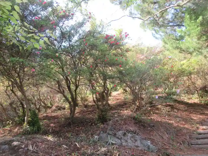正福寺別当米山薬師堂(埼玉県)