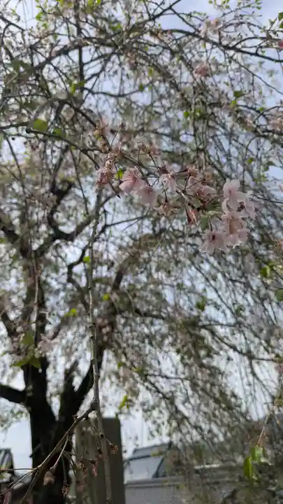 天正寺(滋賀県)