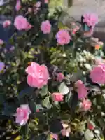 崇道天皇社(奈良県)