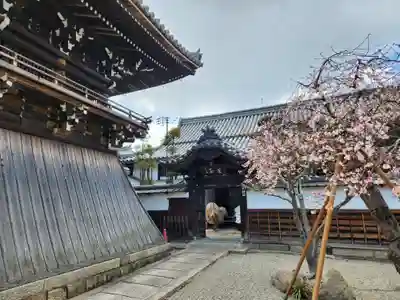 養寿院(兵庫県)