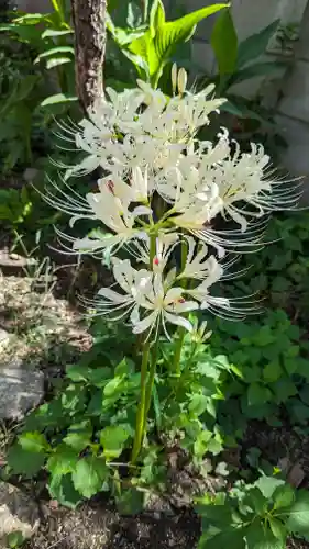 乾窓院(京都府)