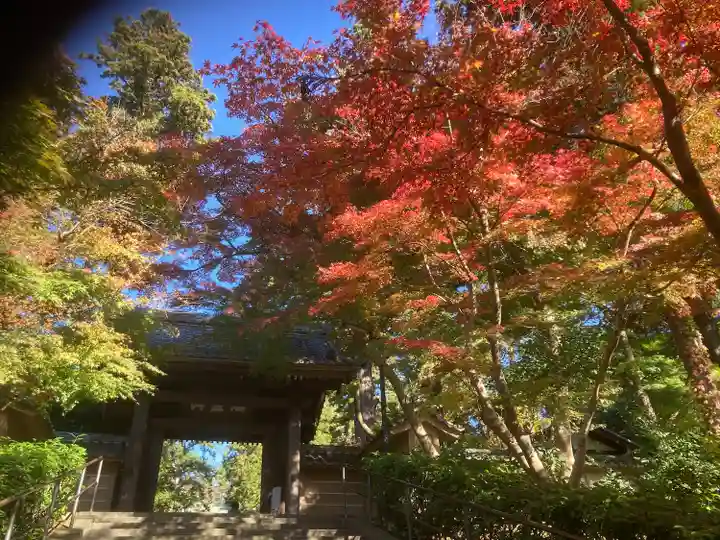 円覚寺(神奈川県)