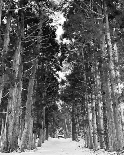 土津神社｜こどもと出世の神さまの自然