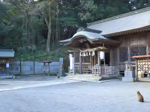 一宮神社の本殿