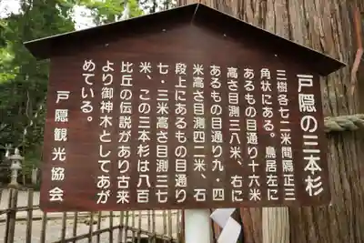戸隠神社中社(長野県)