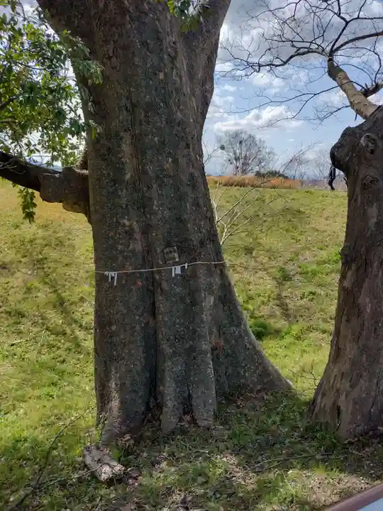 松井孫右衛門社(三重県)