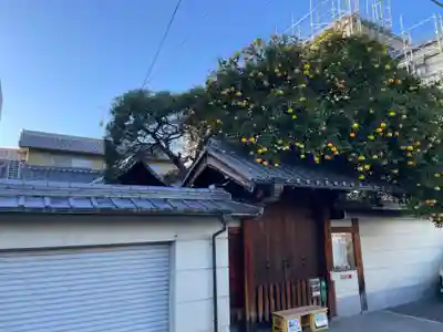 安養寺(京都府)