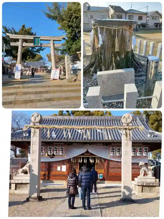 渋川神社(大阪府)