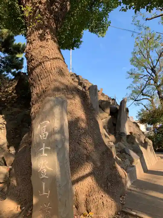 品川神社の自然