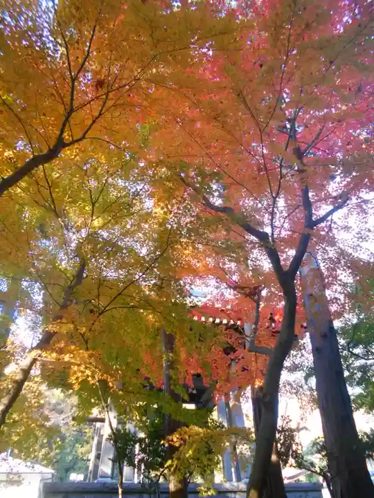天嶽院のその他建物