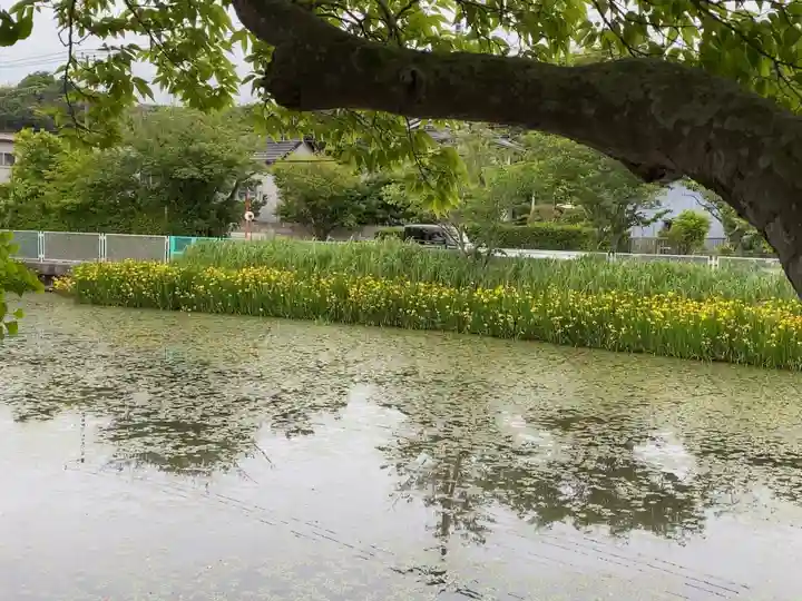 厳島神社(神奈川県)