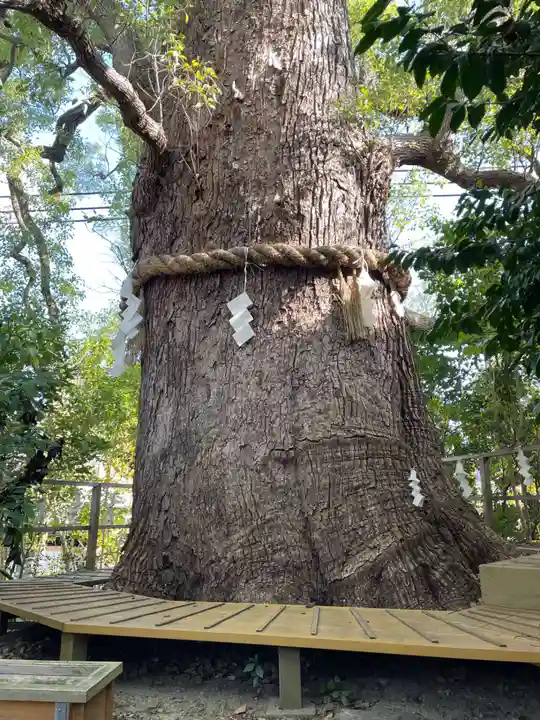 新熊野神社(京都府)