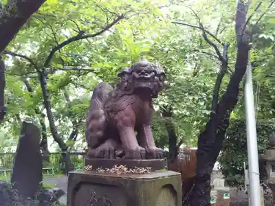 市谷亀岡八幡宮の狛犬