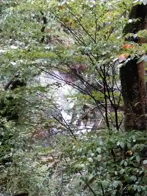 熊野神社(岐阜県)