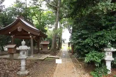 尾崎神社(埼玉県)