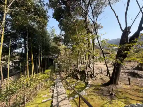 金地院の{uncategorized: "未分類", other: "その他", undefined: "問題あり", building: "その他建物", grave: "お墓", sacred_gate: "鳥居", guardian: "狛犬", statue: "像", buddha: "仏像", history: "歴史", nature: "自然", garden: "庭園", animal: "動物", pagoda: "塔", temizu: "手水舎", mountain_gate: "山門・神門", sanctuary: "本殿・本堂", subordinate: "末社・摂社", art: "芸術", scenery: "景色", jizo: "地蔵", ema: "絵馬", goshuin: "御朱印", omikuji: "おみくじ", items: "授与品その他", amulet: "お守り", goshuincho: "御朱印帳", eats: "食事", festival: "お祭り", votive_dance: "神楽", shichigosan: "七五三参", wedding: "結婚式", experience: "体験その他", initially: "初詣", around: "周辺", anti_infection: "感染症対策"}
