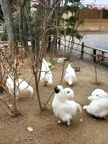 高屋敷稲荷神社(福島県)