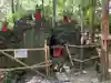 豊川閣 妙厳寺の狛犬