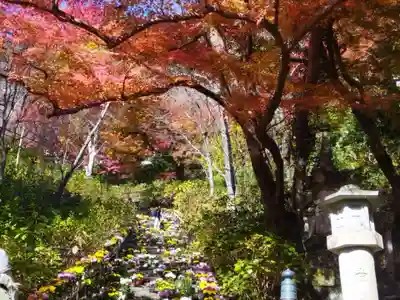 長谷寺(奈良県)