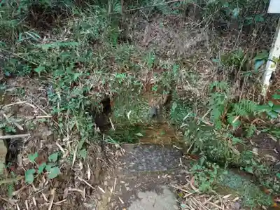 猿田神社(千葉県)