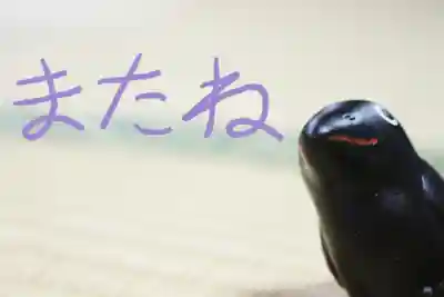 くまくま神社(導きの社 熊野町熊野神社)(東京都)