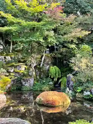 実光院(京都府)