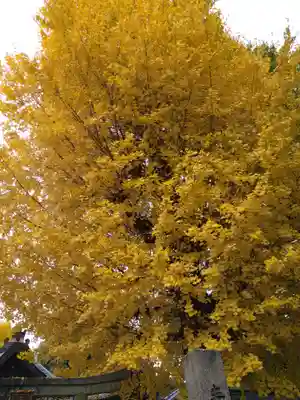 桃山天満宮(京都府)