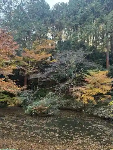 財賀寺(愛知県)